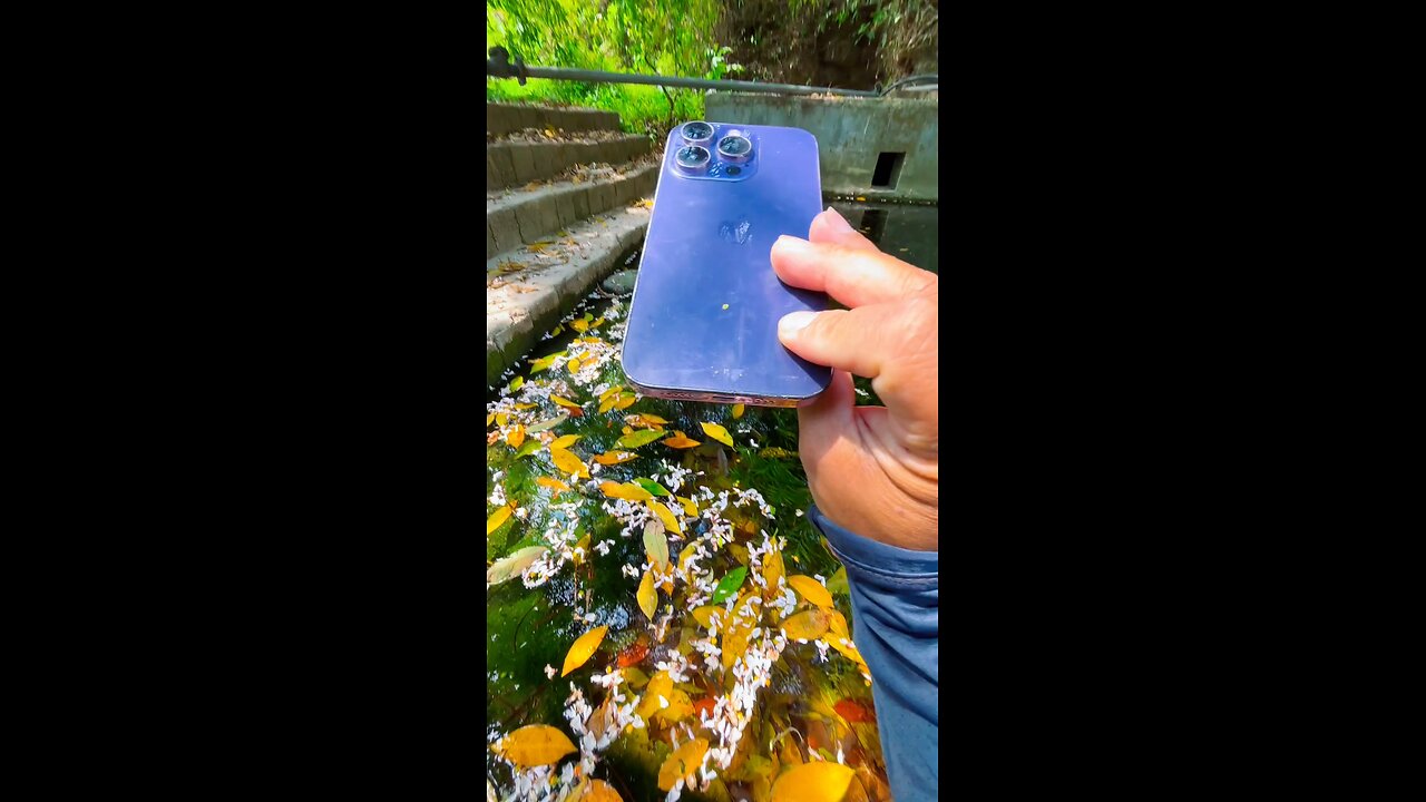 iphone 16 pro camera testing under water 4k video test