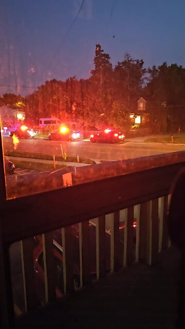 Pretty Lights Outside My Backdoor