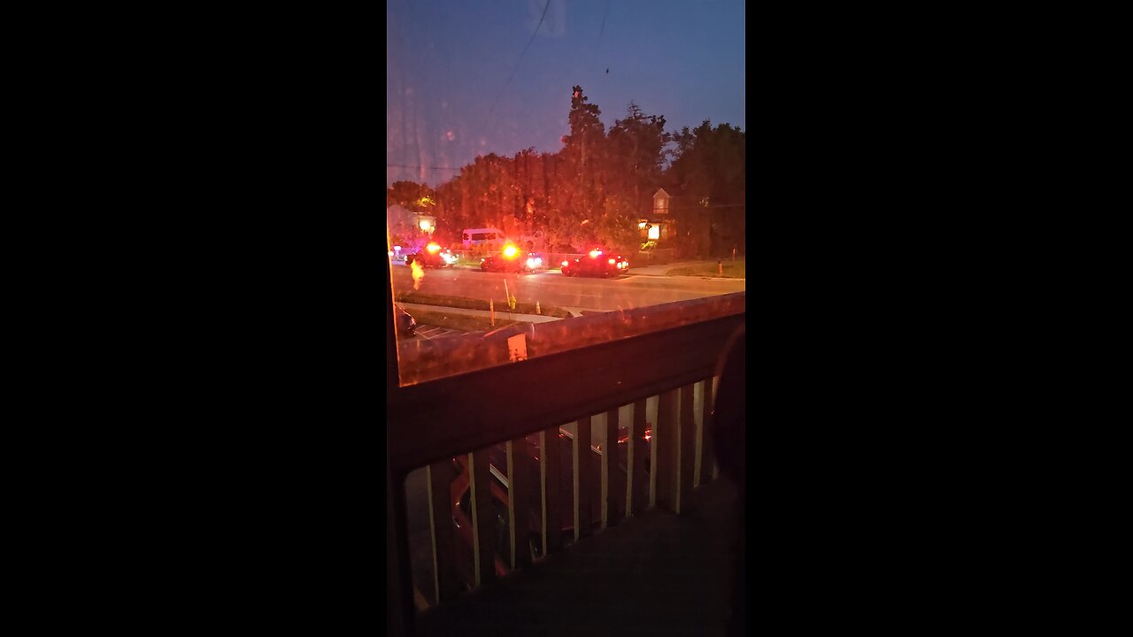 Pretty Lights Outside My Backdoor