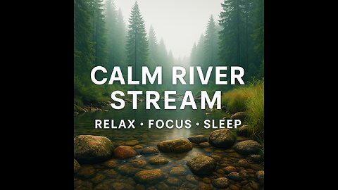 24/7 Relaxation Live: Nature Calms Stress (Authentic Sounds)
