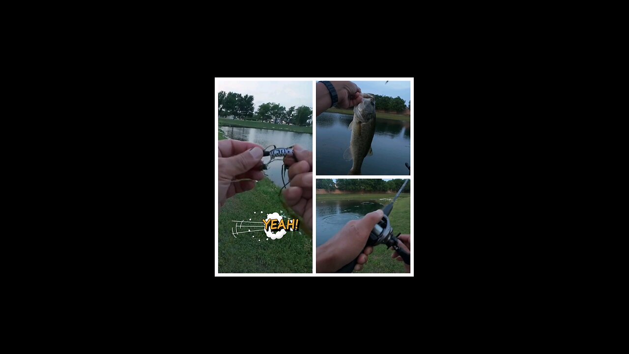 Last cast on a Hula Popper connects 😁 #ultralightfishing #bfsfishing #bassfishing #baitfinesses