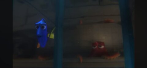 Dory And Hank