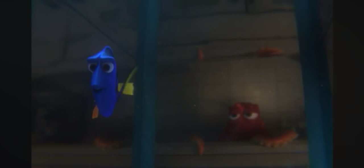 Dory And Hank