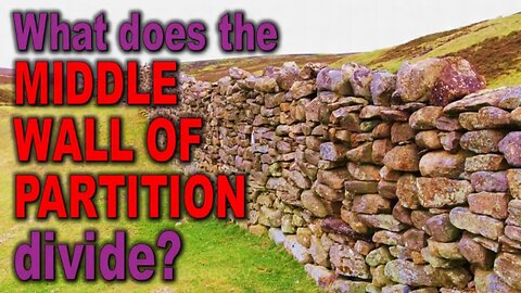 What does the MIDDLE WALL OF PARTITION divide?