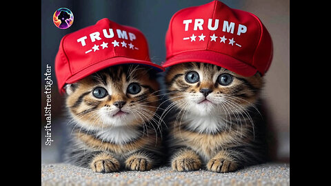🇺🇸🇺🇸WeNotMe🇺🇸🇺🇸 🎬Episode 253🎬 📆 Thursday August 14th ⏰6pm EST ~ 5pm CST ⏰
