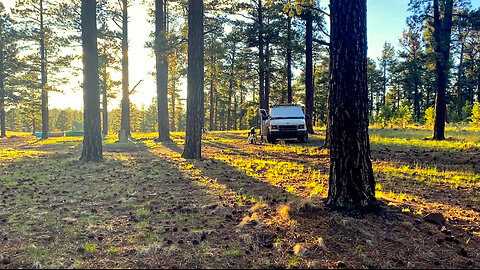 Greer's Green Oasis: My Van Life Reawakening in the Mountains