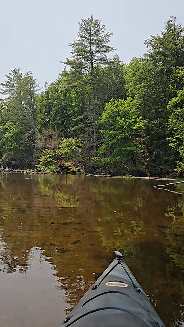 kayaking little lake