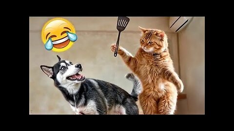 Funny Dogs And Cats Videos 2024 😅- Best Funnies Animal Videos #22