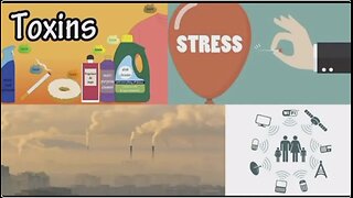 Microbes – Germ Theory vs. Terrain Theory