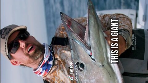 Catching a amazing big fish