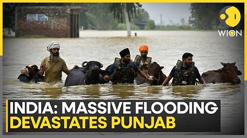 Punjab Floods: Floods Ravage Indian State Killing 30, 1,400 Villages Submerged | WION News