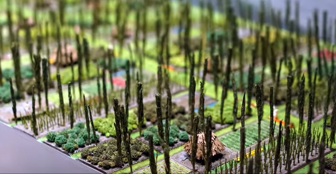 6 - modular chinampas Hydroponic units