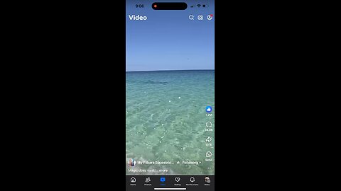 Minor miracles? Horse back riding in ocean with Dolphins. Facebook, My Pilbara Equestrian Life.