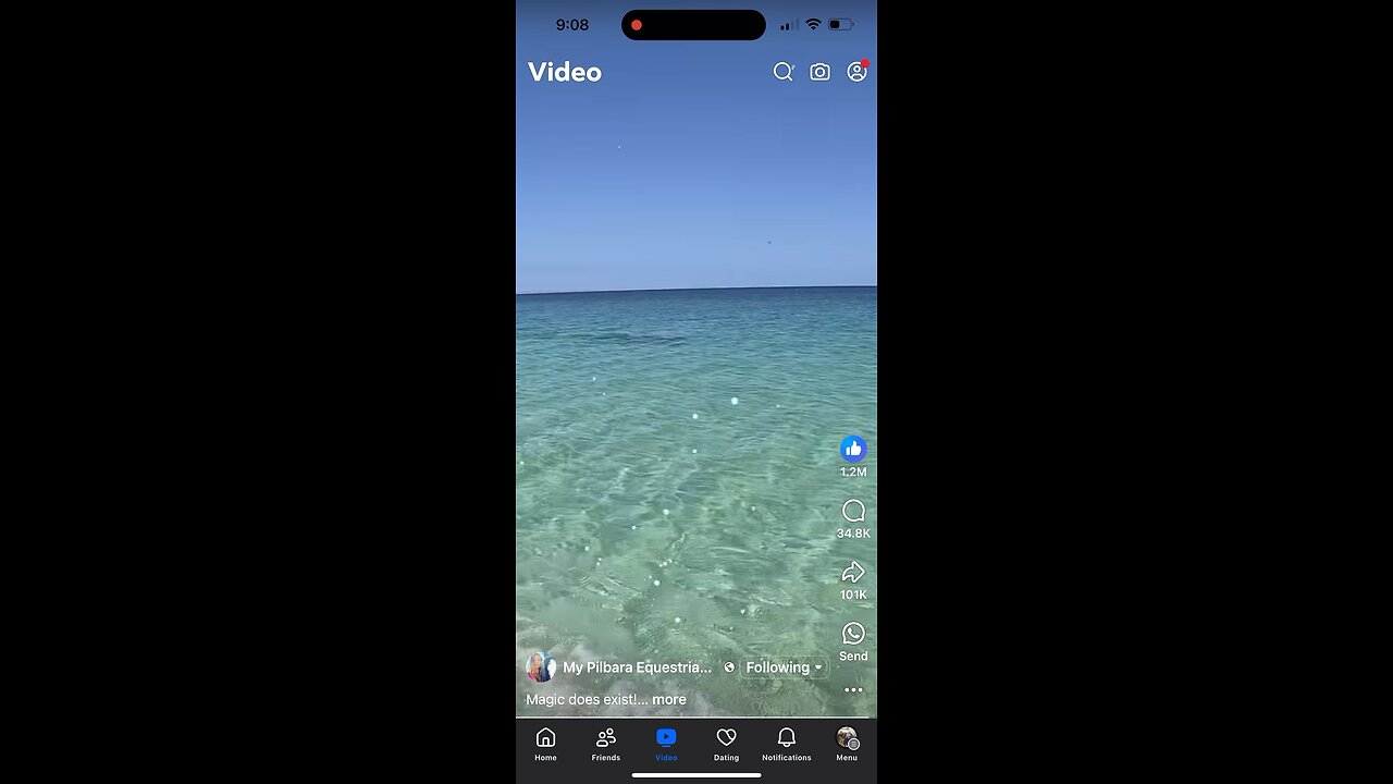 Minor miracles? Horse back riding in ocean with Dolphins. Facebook, My Pilbara Equestrian Life.