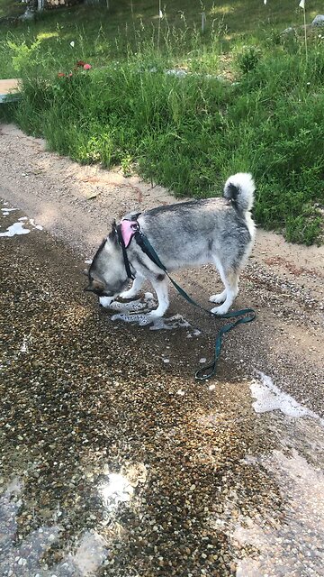 Wednesday June 25, God causes everything to work together.