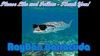 RayBan Barracuda (new remix) 5-25-2025