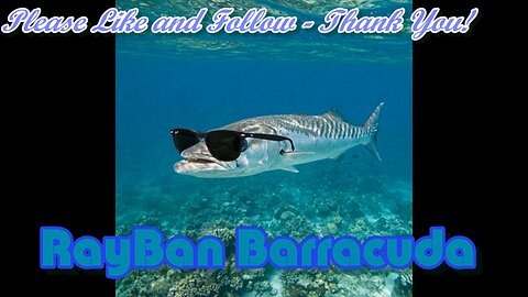 RayBan Barracuda (new remix) 5-25-2025