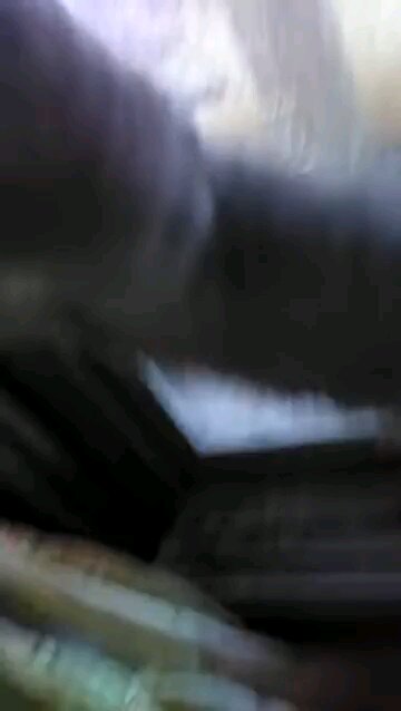 windigo helps me with laundry