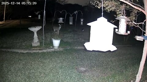 There are two sets of eyes.