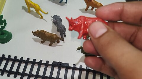 which colour toy animal