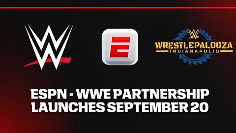 How Much Does It REALLY Cost to Be a Wrestling Fan? (You’ll Be Shocked!)