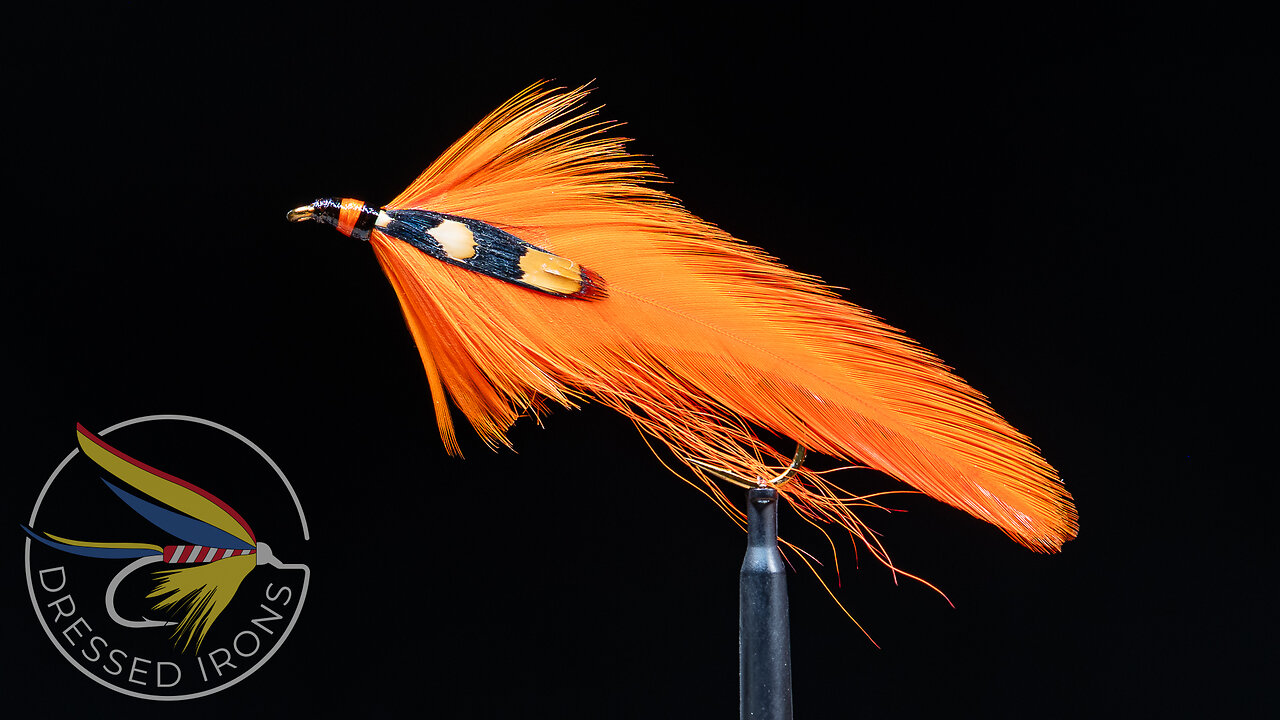 Tying the All Orange - Dressed Irons