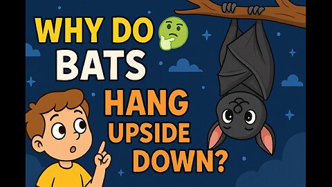 Why Do Bats Sleep Upside Down? | Fun Animal Fact for Kids | Curious Cub