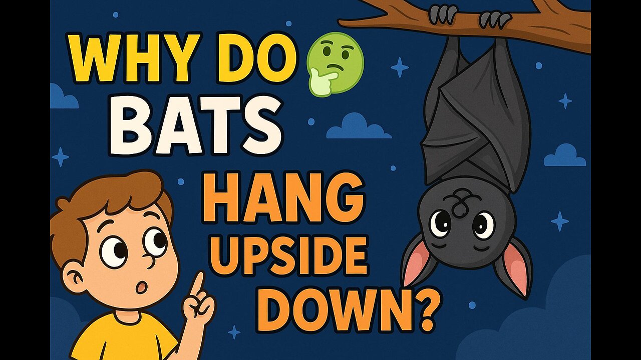 Why Do Bats Sleep Upside Down? | Fun Animal Fact for Kids | Curious Cub