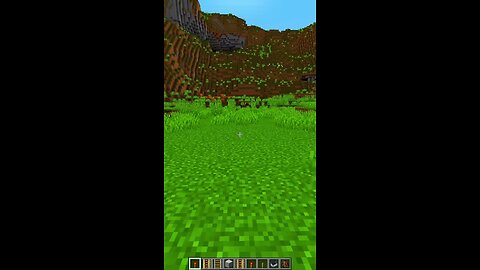anything in Minecraft