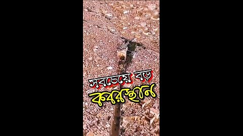 বিশ্বের সবচেয়ে বড় কবরস্থান #big #cemetery