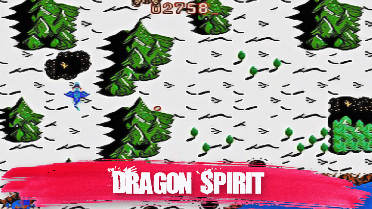 Dragon Spirit: The New Legend - NES (Gameplay)