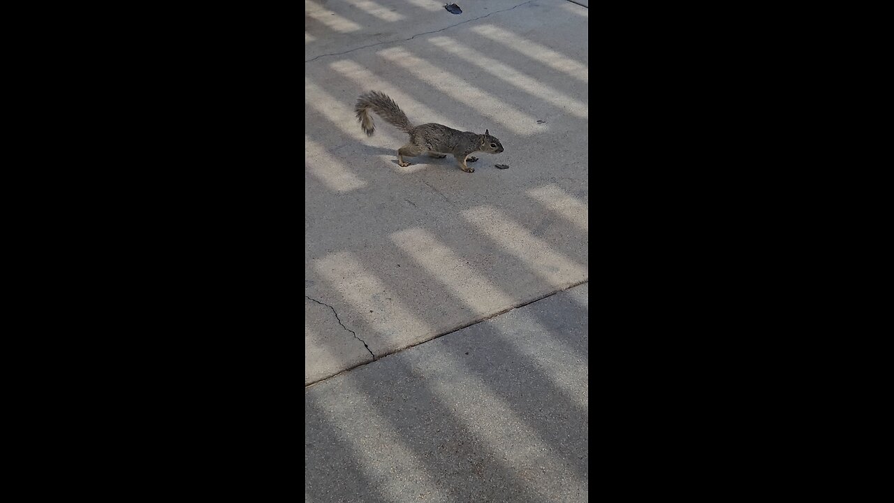 Sunshine 🌞 Sunday 🌞 smile ☺️