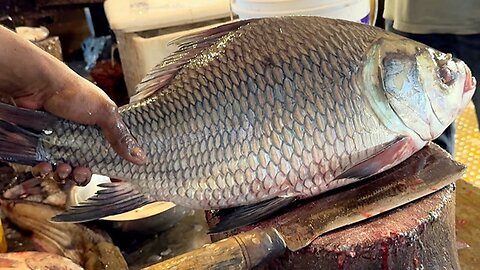 Amazing Fish cutting skill 09| you must watch