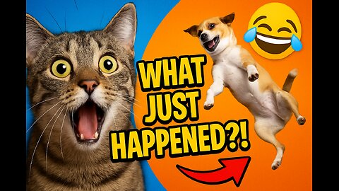 “When Animals Forget How to Animal 🤯”