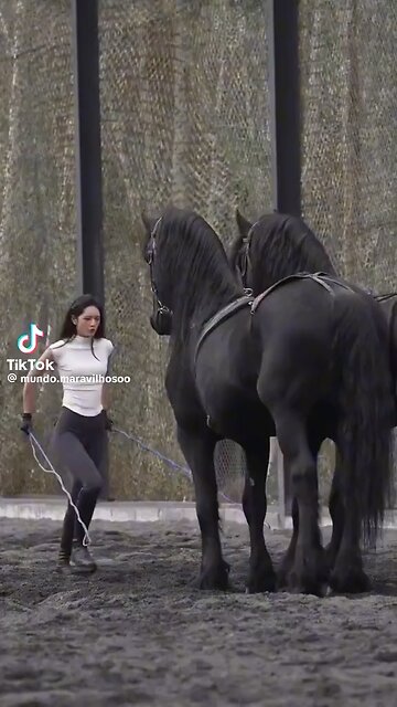 This one is for my beautiful friend @WiltonFan 🙏🙏🙏🙏🙏