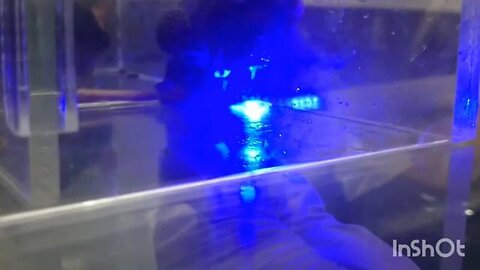 "Mind Control Lasers: The Science Behind Making Mice Kill – Unveiling Groundbreaking Research"