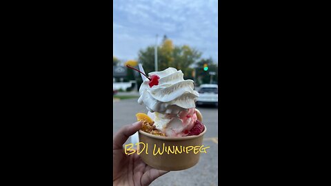 ⭕️Winnipeg's Best Ice Cream? (Bridge View Included!)