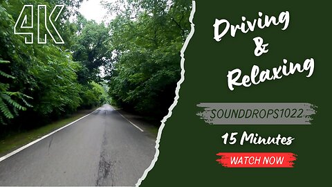15 Minutes of Natural Harmony: Drive and Relax