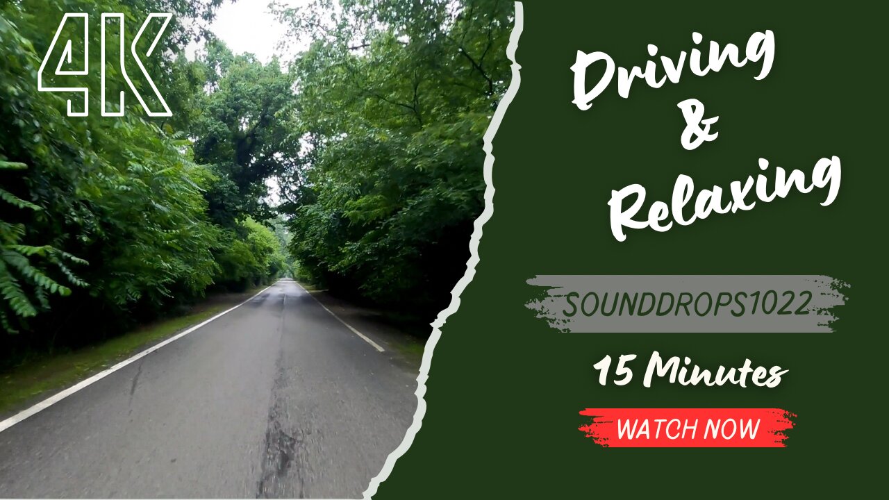 15 Minutes of Natural Harmony: Drive and Relax