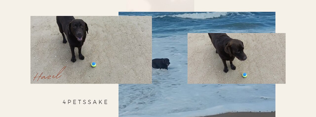 Hazel - Swim and beach ⛱️