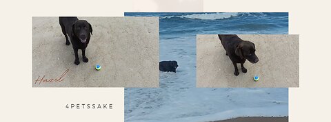 Hazel - Swim and beach ⛱️