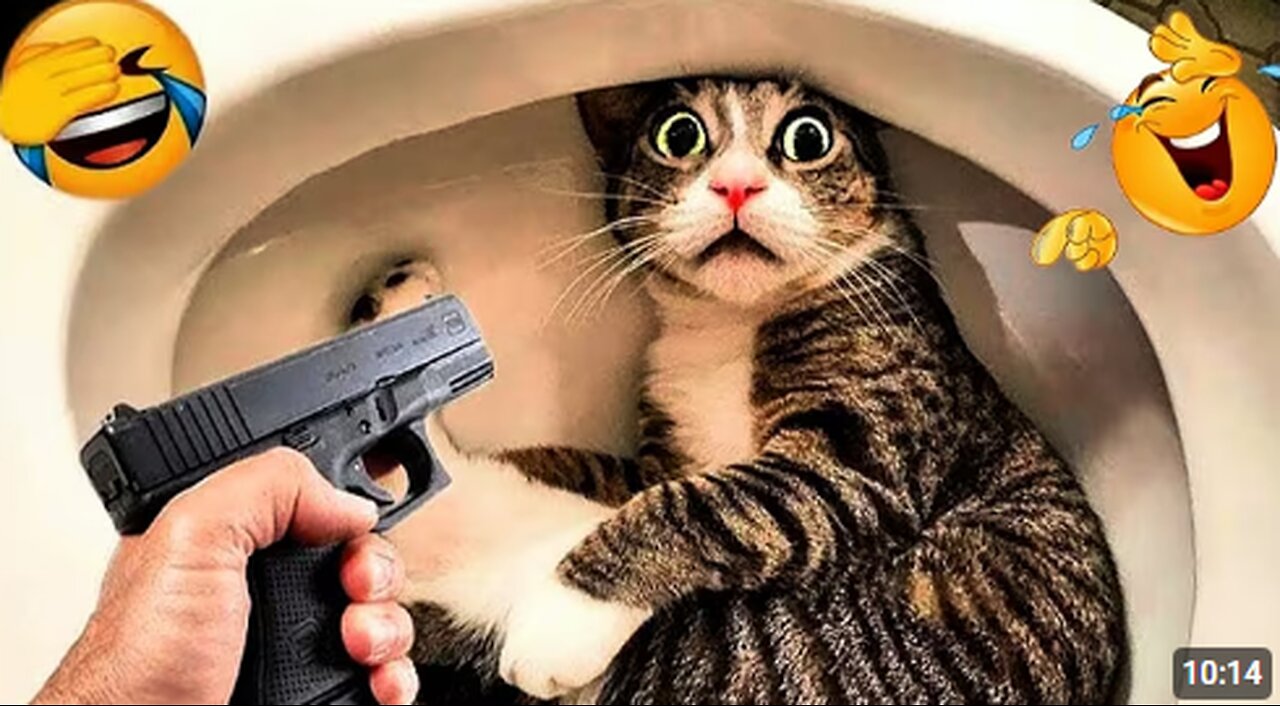 Funniest Cats and Dog Video Clips 2025|😂😸🐾😻| Try Not To Laugh