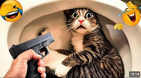 Funniest Cats and Dog Video Clips 2025|😂😸🐾😻| Try Not To Laugh