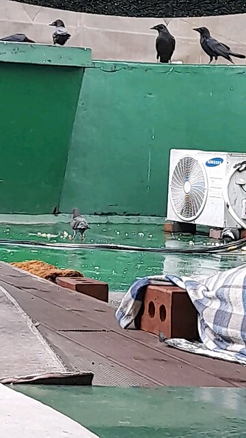 20250716. God Made the Earth.