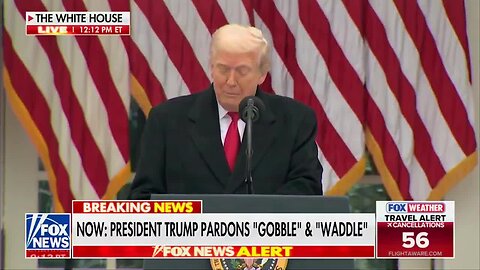 THUNDERDOME!! PRESIDENT TRUMP'S JUDICIAL FOES REVEALED!