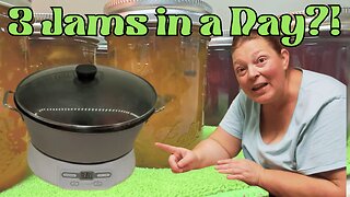 Thrifted Jam & Jelly Maker Put to the Test! Plum Jam Recipe #everybitcountschallenge