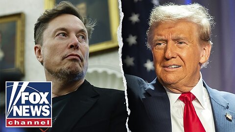 Elon Musk leaving DOGE _frustrated__ says biographer
