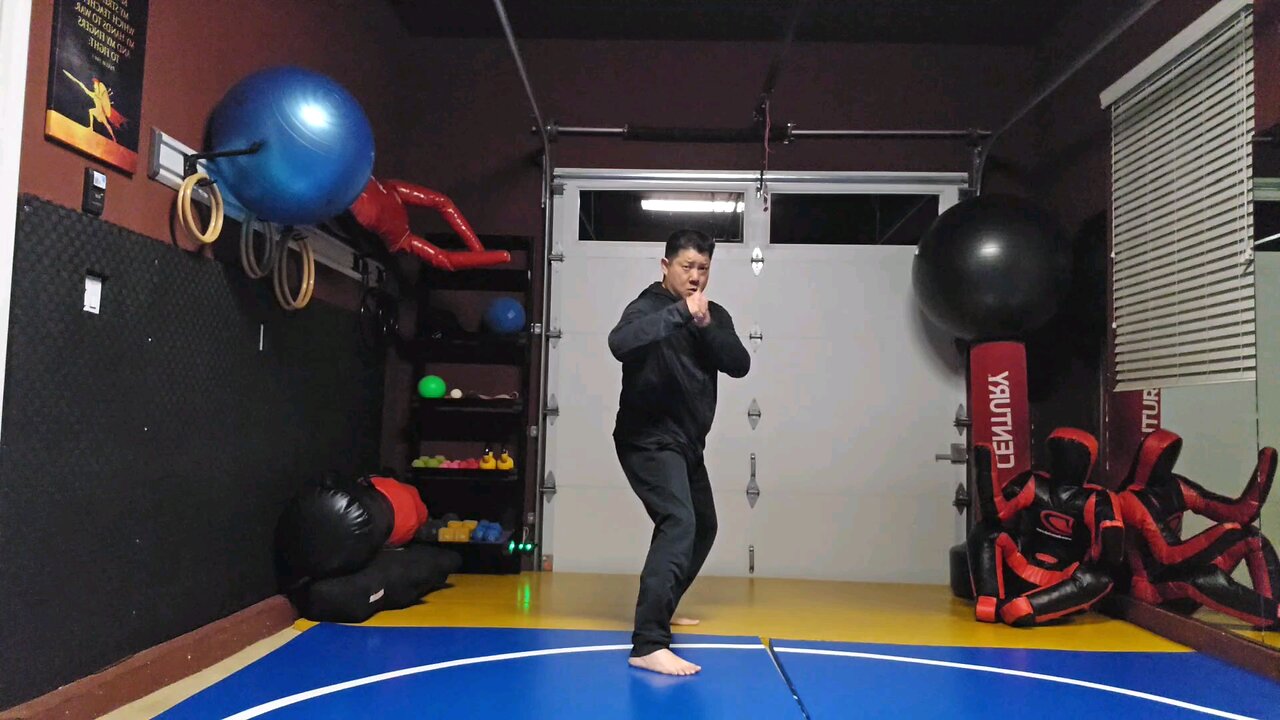 WTD Front Kick to Hook Kick sequential