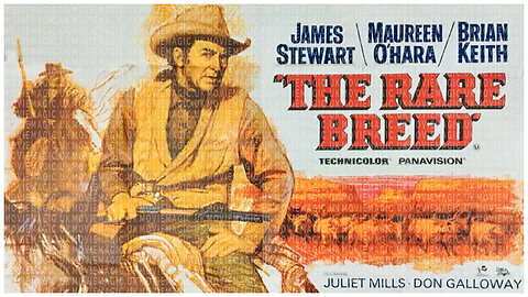 🎬 The Rare Breed - 1966 - 🎥 MOVIE TRAILER