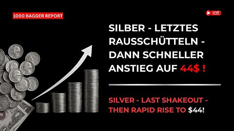 Silber - letztes rausschütteln - dann schneller Anstieg auf 44$ !